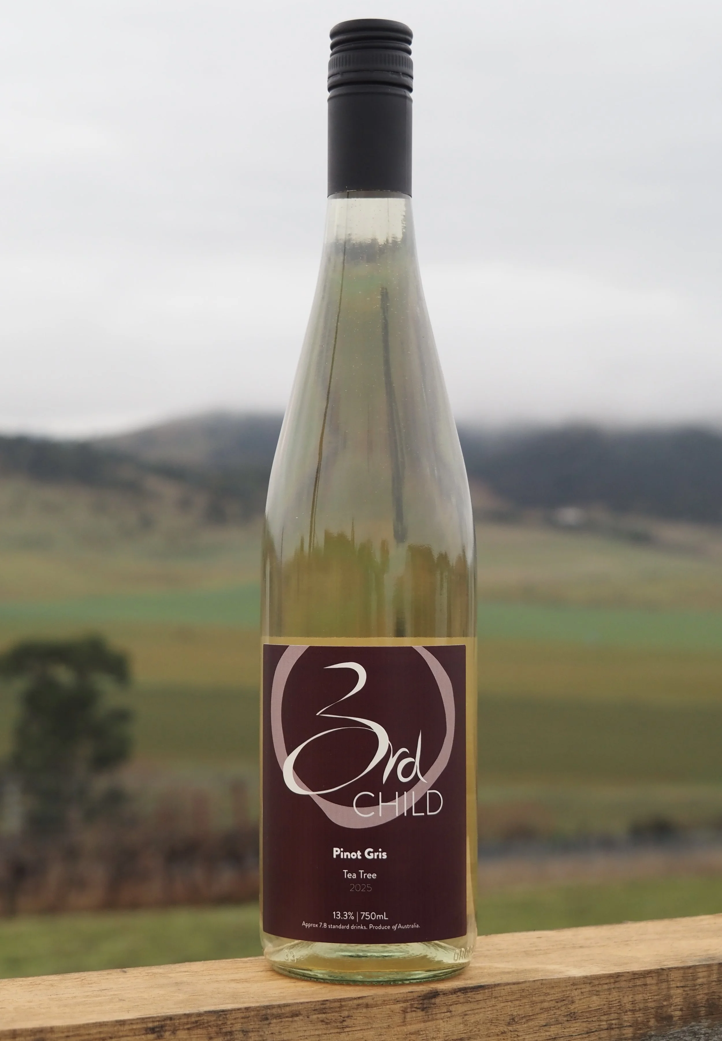 2025 Pinot Gris — Third Child Wines